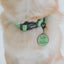 Dog Collar - Neon Green