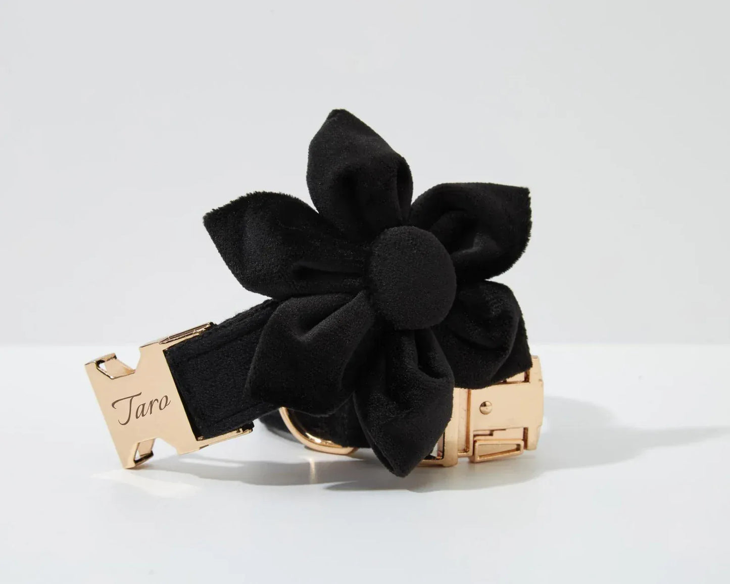 Black Velvet Set