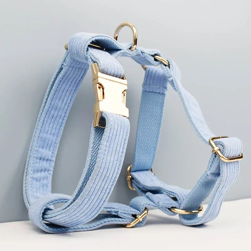 Blue Corduroy Set