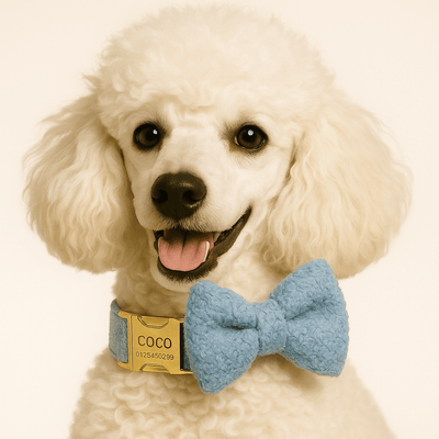 Light Blue Teddy Set