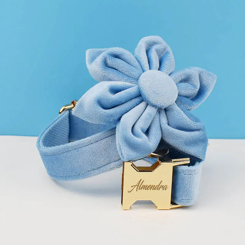 Blue Velvet Set
