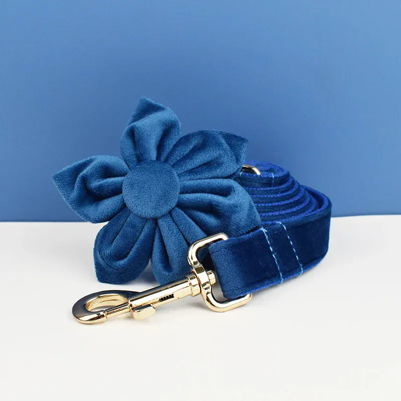 Blue Velvet Set