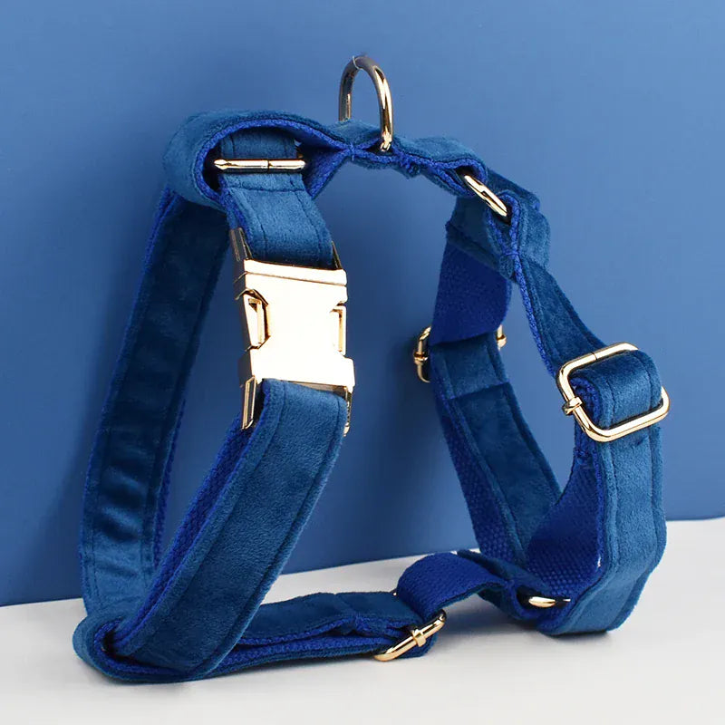 Blue Velvet Set