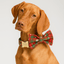 Christmas Plaid Set
