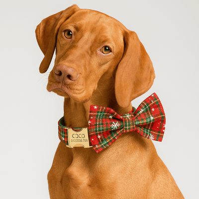 Christmas Plaid Set