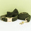 Cozy Olive Teddy Set