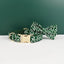 Emerald Swirl Print Set