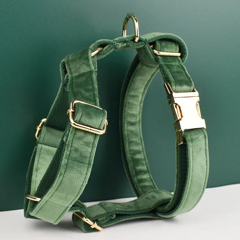Forest Green Velvet Set