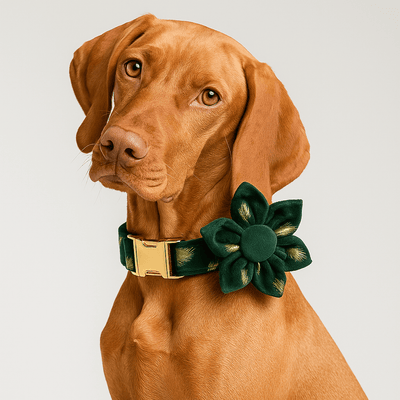 Green Feather Velvet Floral Set