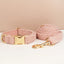 Teddy Pink Set