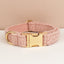 Teddy Pink Set