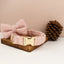 Teddy Pink Set