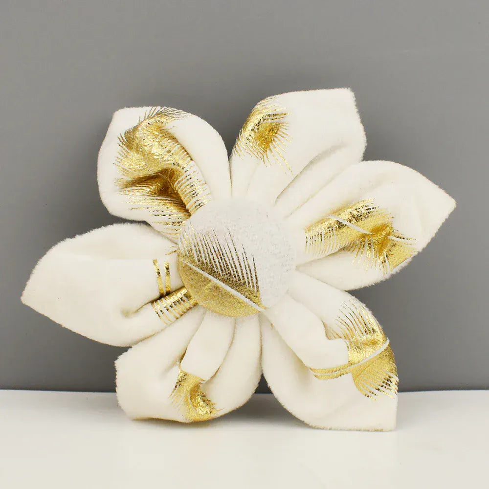 Ivory Gold Leaf Velvet Set