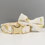Ivory Gold Leaf Velvet Set