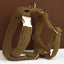 Lambskin Teddy Set