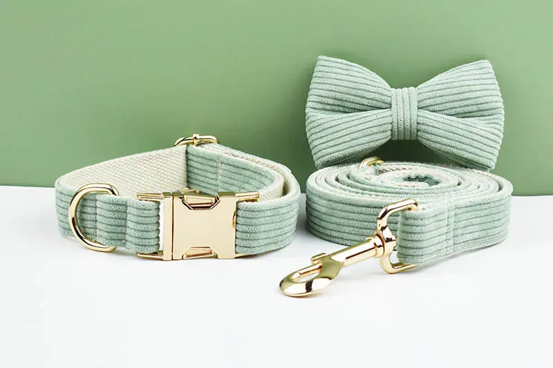 Light Green Corduroy Set