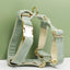 Light Green Corduroy Set