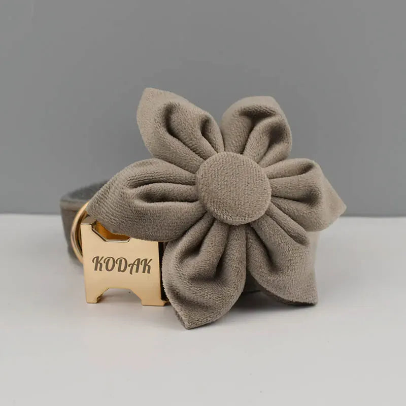 Light Grey Velvet Set