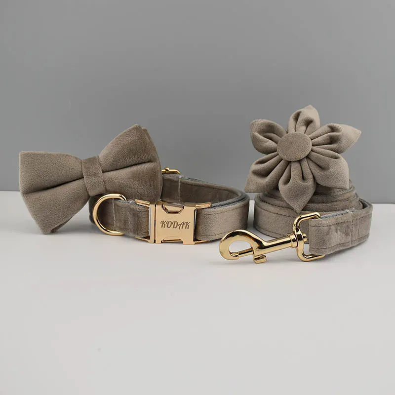 Light Grey Velvet Set