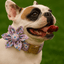 Lilac Meadow Floral Set
