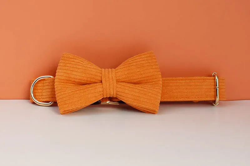 Orange Corduroy Set
