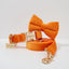 Orange Velvet Set