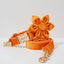 Orange Velvet Set