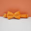 Orange Velvet Set