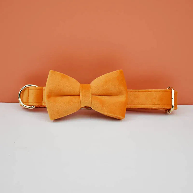 Orange Velvet Set