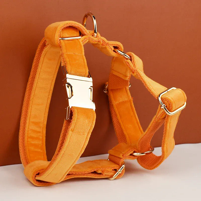 Orange Velvet Set