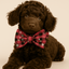Christmas Red Star Plaid Set