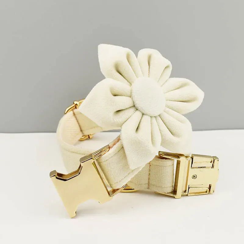 Milky White Velvet Set