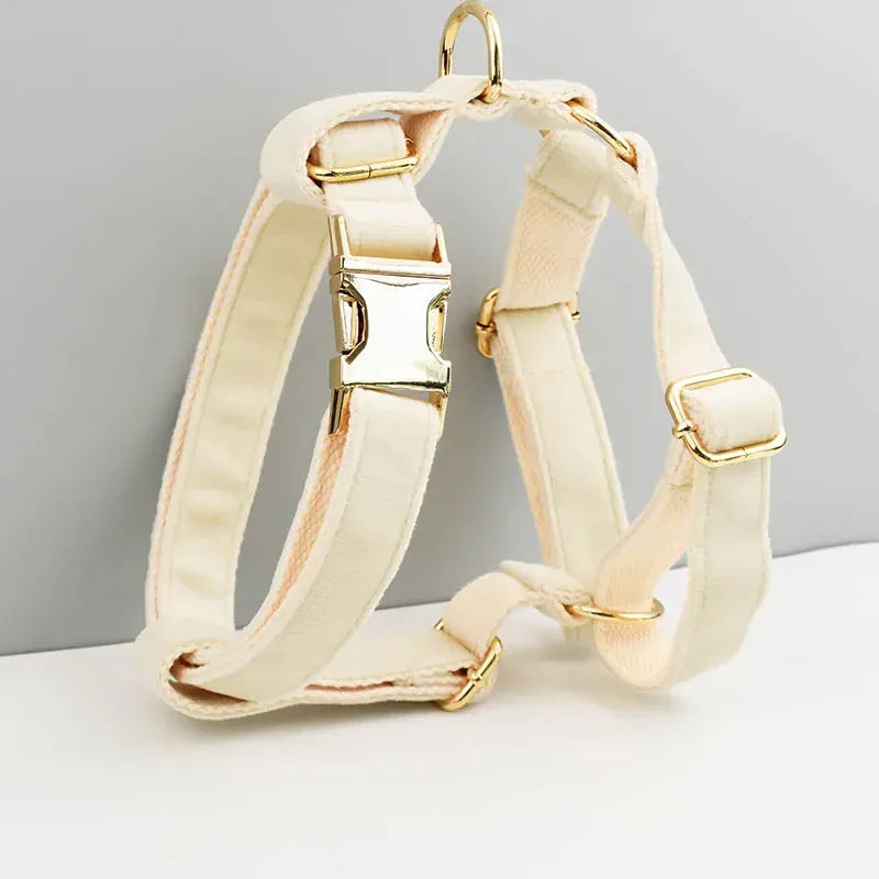 Milky White Velvet Set
