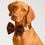 Red Tartan Christmas Set