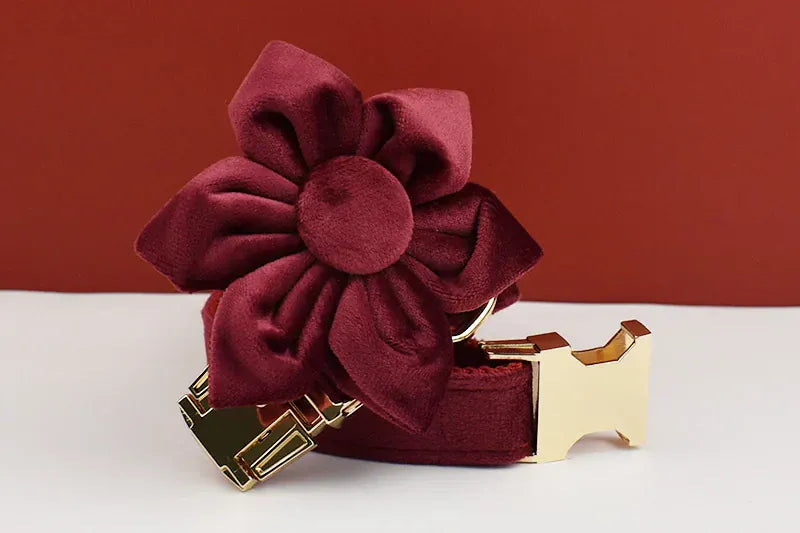 Red Wine Velvet Set