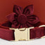 Red Wine Velvet Set