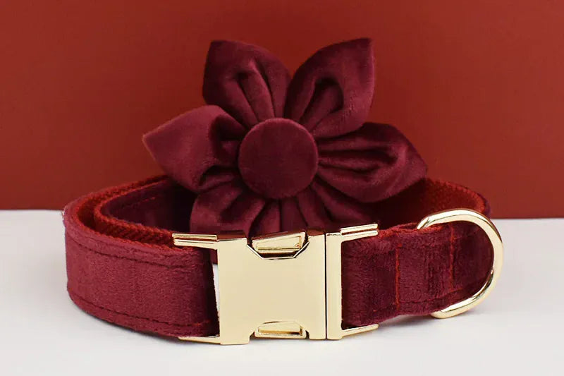 Red Wine Velvet Set