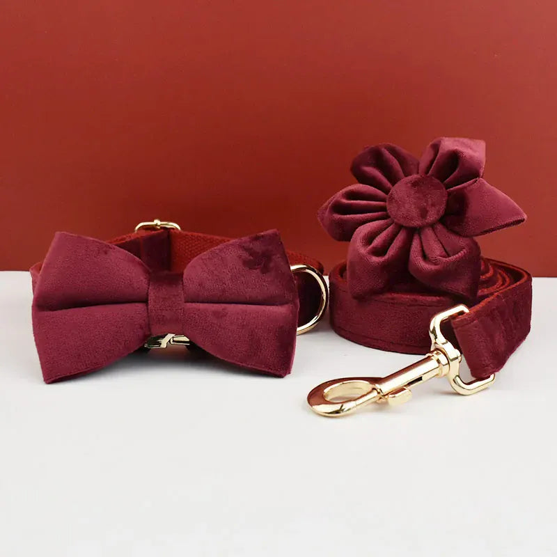 Red Wine Velvet Set