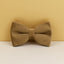 Shallow Khaki Velvet Set