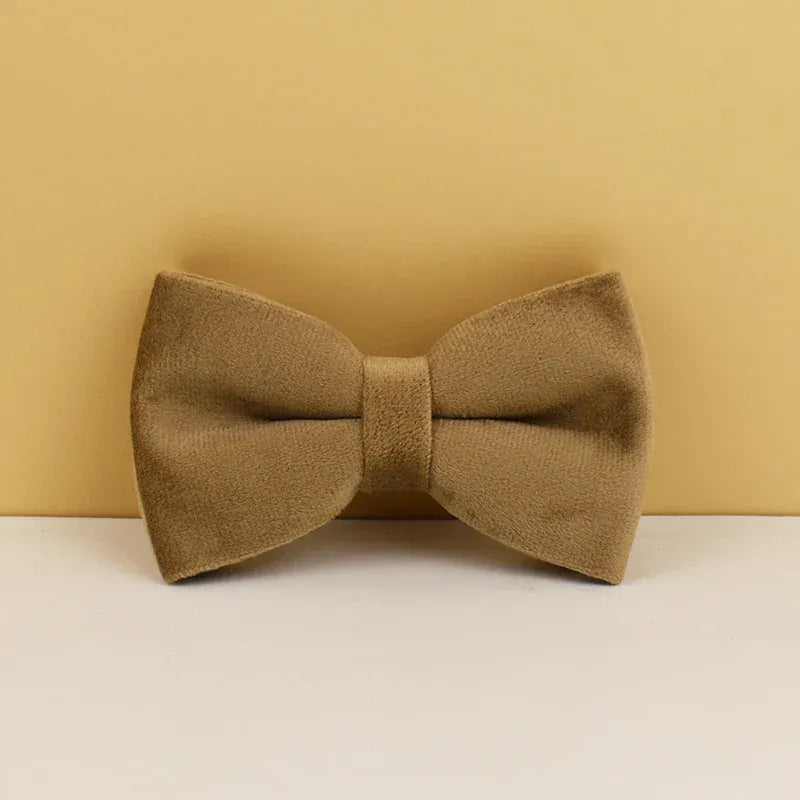 Shallow Khaki Velvet Set