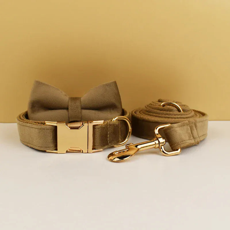 Shallow Khaki Velvet Set