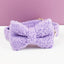 Teddy Purple Set