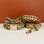Velvet Leopard Set