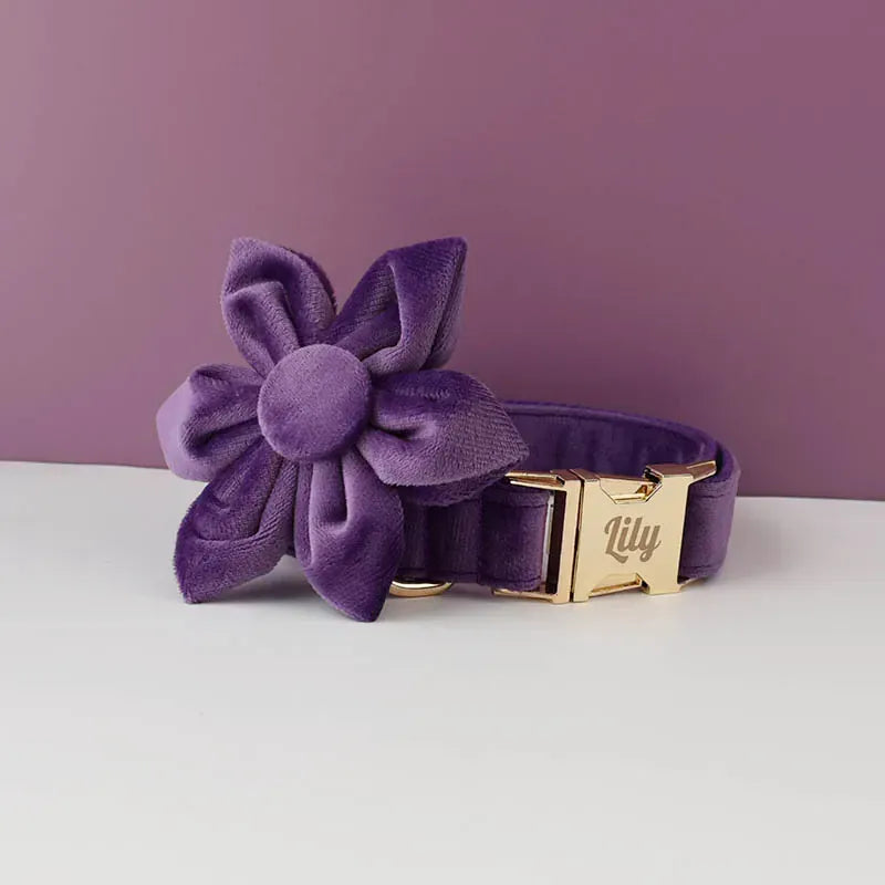 Velvet Purple Set