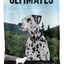 Ultimates Sensitive With Lamb Protein Dry Dog Food