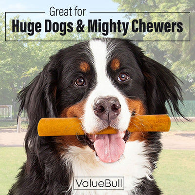 ValueBull Buffalo Collagen Sticks for Dogs, 6 Inch Super Jumbo Chews, Natural Long-Lasting Dog Treats, 50 Count