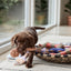 Ashi Dog Toy Small - Ice Blue/Choko