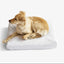 LAY LO Pets - Premium Waterproof Dog Bed Liner / DIY Mattress Stuff Sack