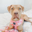 Dog Adjustable Harness - Mykonos