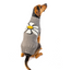 Big Daisy Dog Sweater